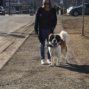 Meet your Posher, Tami